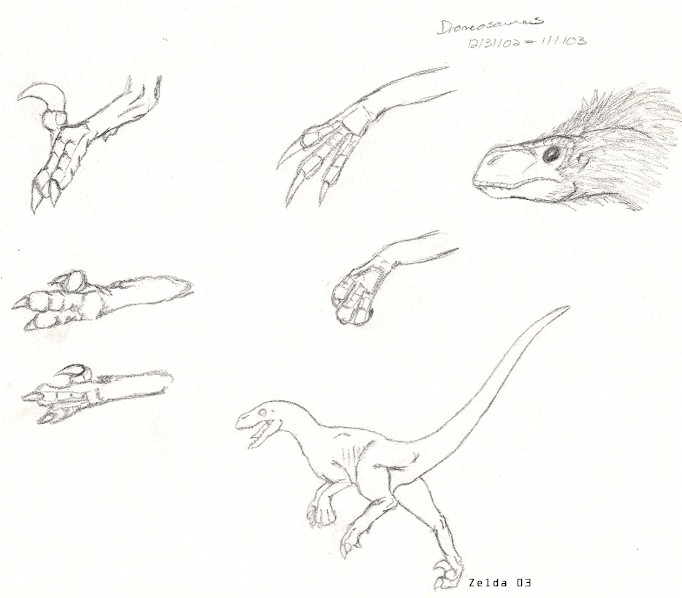 dromeosaur.jpg (59852 bytes)