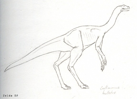 gallimimus.jpg (48627 bytes)