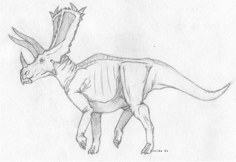 pentaceratops.jpg (145415 bytes)