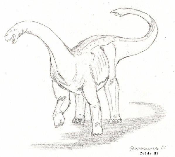 shunosaurus.jpg (66653 bytes)
