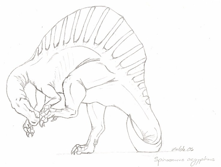 spinosaurusscratch.jpg (55034 bytes)