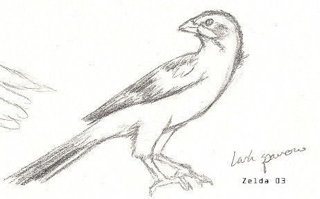 birdssketch2.jpg (27448 bytes)