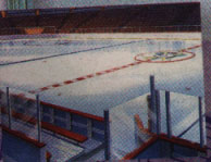 rink.JPG (47978 bytes)